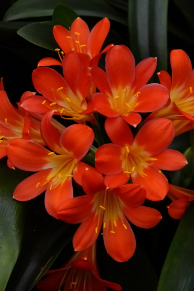 2013 02 23 IMG 5869